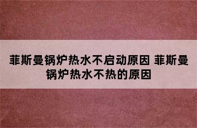 菲斯曼锅炉热水不启动原因 菲斯曼锅炉热水不热的原因